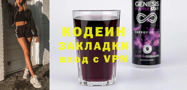 дживик Тында