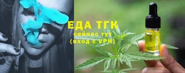 дживик Тында