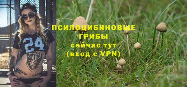 амф Туринск