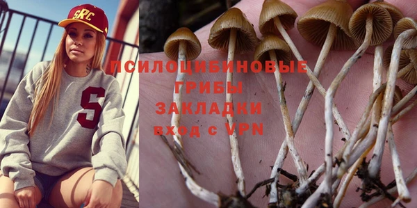 амф Туринск
