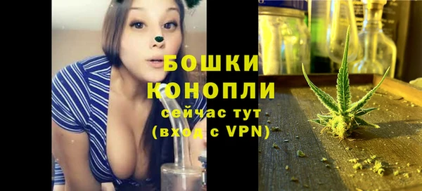 дживик Тында