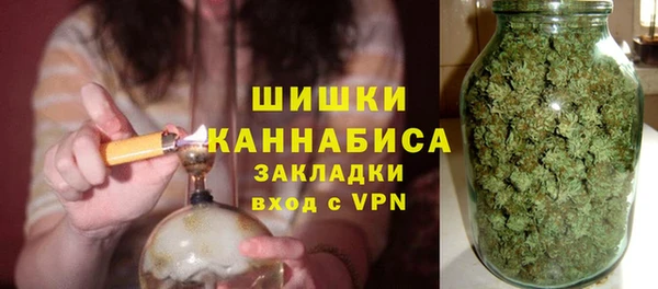 дживик Тында